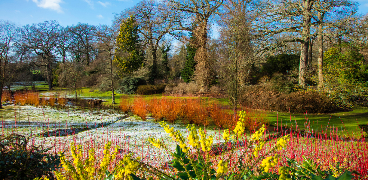 Savill Garden Windsor Great Park